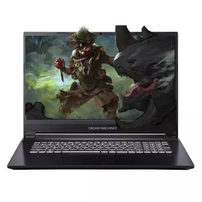 Ноутбук Dream Machines RG2060-17 (RG2060-17UA29)