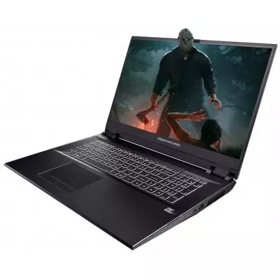 Ноутбук Dream Machines RT2070-17 (RT2070-17UA28)