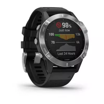 Смарт-часы Garmin Fenix 6 silver with Black Band (010-02158-00) - 2