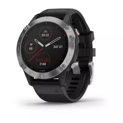 Смарт-часы Garmin Fenix 6 silver with Black Band (010-02158-00)