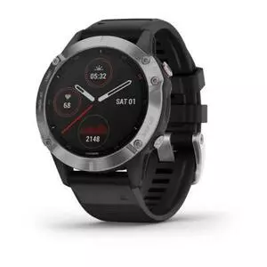 Смарт-часы Garmin Fenix 6 silver with Black Band (010-02158-00)