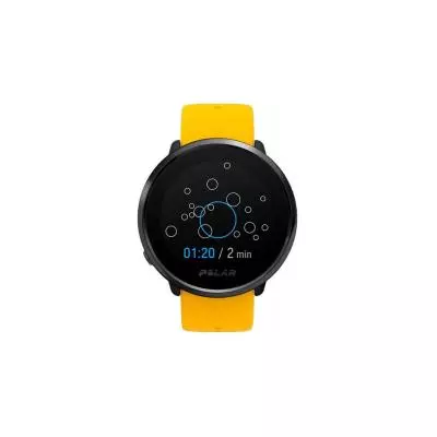 Смарт-часы Polar IGNITE Black\Yellow (90075950) - 1