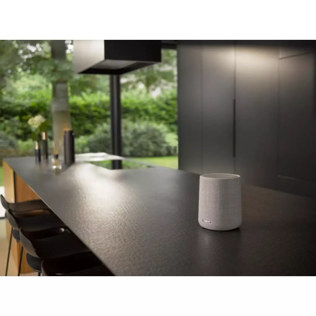 Акустическая система Harman Kardon Citation ONE MKII Grey (HKCITAONEMKIIGRYEU) - 5 Акустическая система Harman Kardon Citation ONE MKII Grey (HKCITAONEMKIIGRYEU) - 5