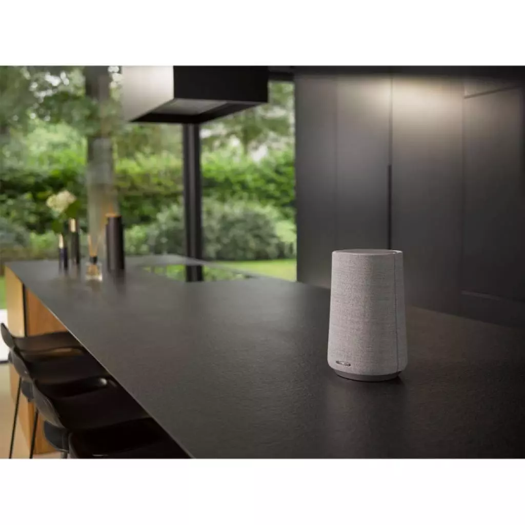 Акустическая система Harman Kardon Citation 100 MKII Grey (HKCITA100MKIIGRYEU) - 7 Акустическая система Harman Kardon Citation 100 MKII Grey (HKCITA100MKIIGRYEU) - 7