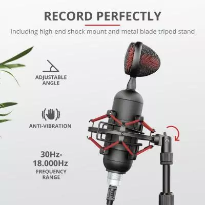 Микрофон Trust GXT 244 Buzz USB Streaming Microphone Black (23466) - 8 Микрофон Trust GXT 244 Buzz USB Streaming Microphone Black (23466) - 8