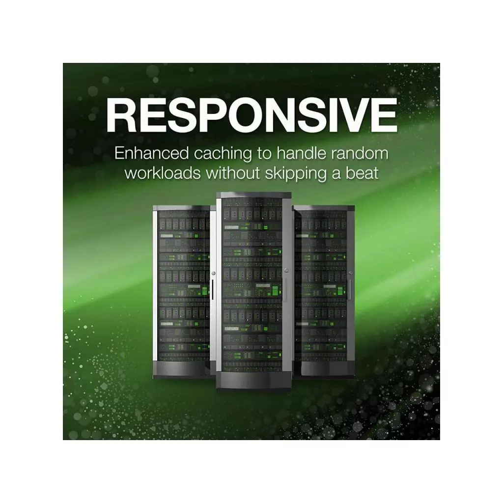 Жесткий диск 3.5" 10TB Seagate (ST10000NM001G) - 2 Жесткий диск 3.5" 10TB Seagate (ST10000NM001G) - 2