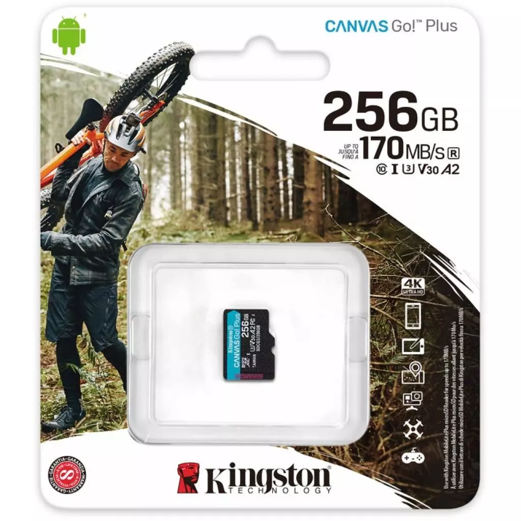 Карта памяти Kingston 256GB microSDXC class 10 A2 U3 V30 Canvas Go Plus (SDCG3/256GBSP) - 2