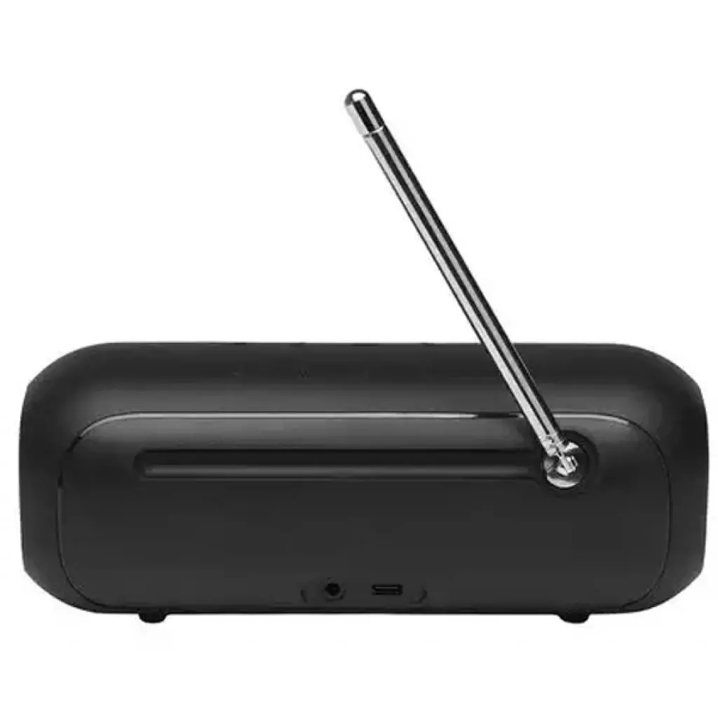 Акустическая система JBL Tuner 2 FM Black (JBLTUNER2BLK) - 2 Акустическая система JBL Tuner 2 FM Black (JBLTUNER2BLK) - 2