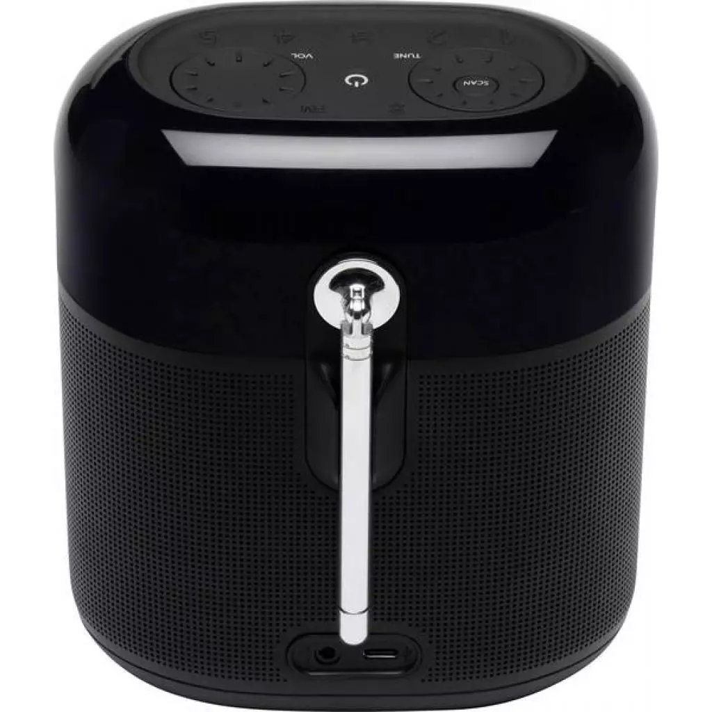 Акустическая система JBL Tuner XL Black (JBLTUNERXLBLKEU) - 3 Акустическая система JBL Tuner XL Black (JBLTUNERXLBLKEU) - 3