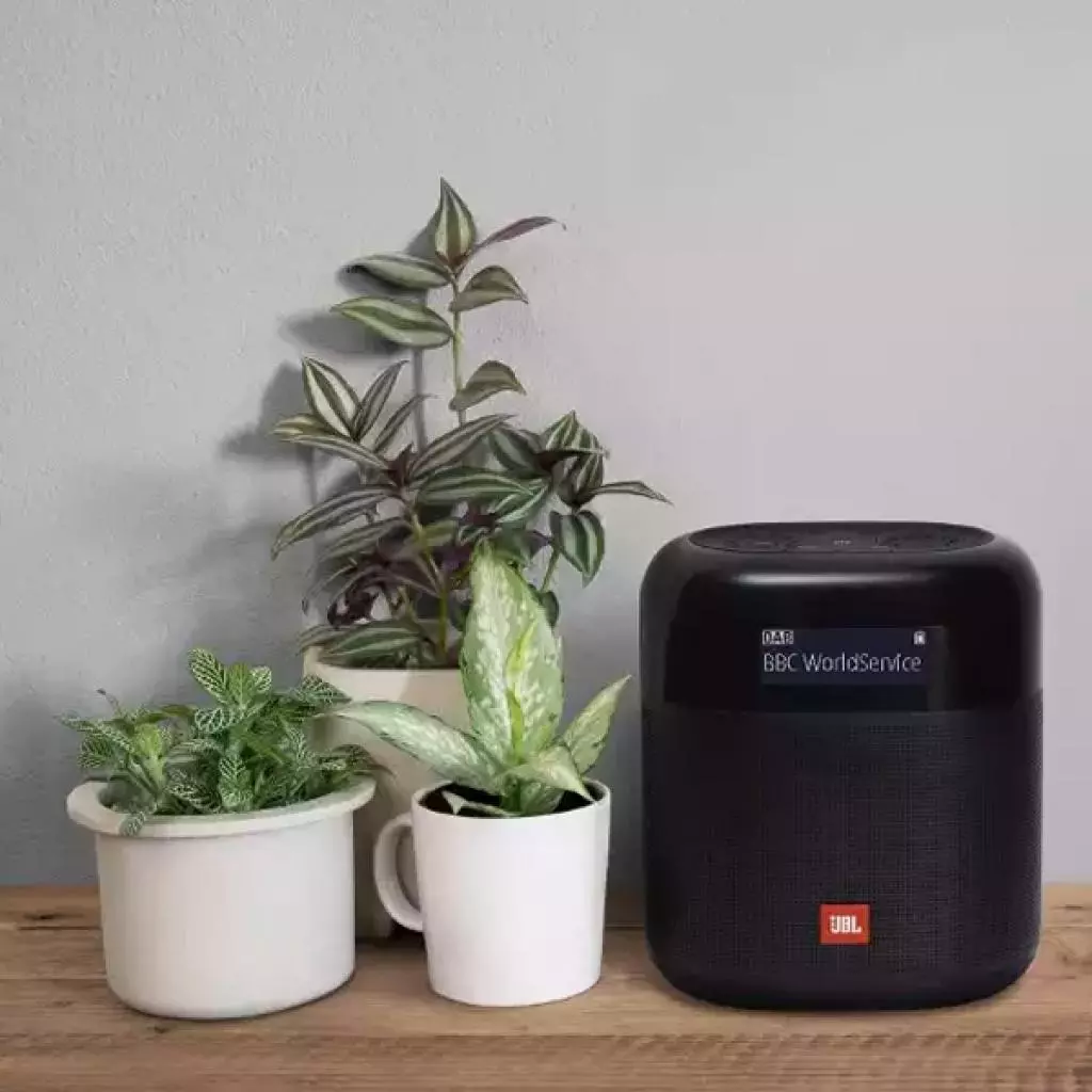Акустическая система JBL Tuner XL Black (JBLTUNERXLBLKEU) - 6 Акустическая система JBL Tuner XL Black (JBLTUNERXLBLKEU) - 6