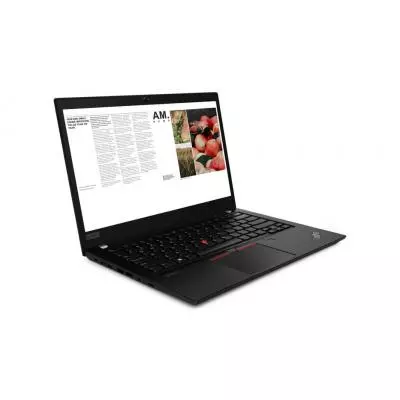 Ноутбук Lenovo ThinkPad T14 (20UD001RRT)