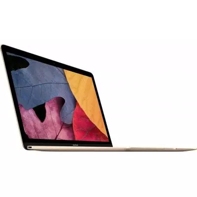 Ноутбук Apple MacBook A1534 (MNYK2RU/A) - 1 Ноутбук Apple MacBook A1534 (MNYK2RU/A) - 1