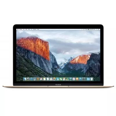 Ноутбук Apple MacBook A1534 (MNYK2RU/A)