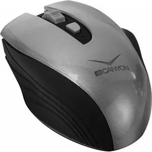 Мышка Canyon CNS-CMSW7G Wireless Black-Silver (CNS-CMSW7G)