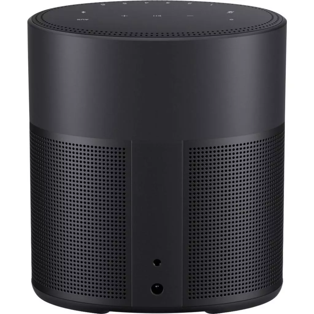 Акустическая система Bose Home Speaker 300 Black (808429-2100) - 3 Акустическая система Bose Home Speaker 300 Black (808429-2100) - 3