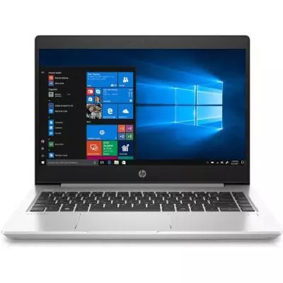 Ноутбук HP Probook 445 G7 (175V5EA)