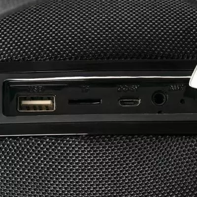 Акустическая система Gelius Pro BoomBox GP-BS500 Black (00000074378) - 5