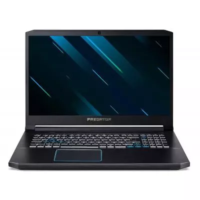Ноутбук Acer Predator Helios 300 PH317-54 (NH.Q9WEU.00A)