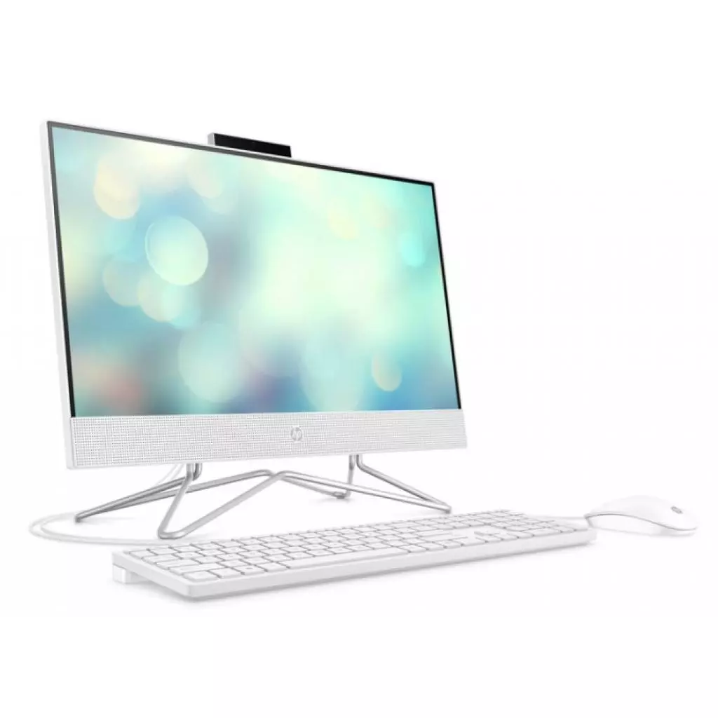 Компьютер HP 22-df0030ur AiO / Athlon 3050U (3A572EA) - 1