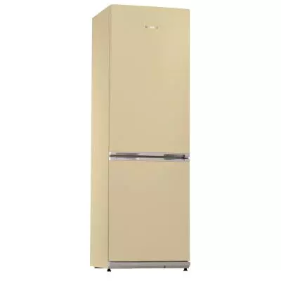 Холодильник Snaige RF53SM-S5DP21