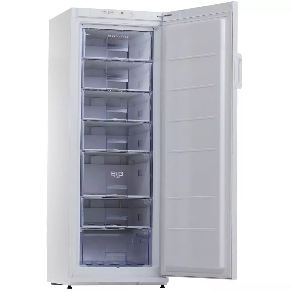 Морозильная камера Snaige F27SM-T1000F - 1 Морозильная камера Snaige F27SM-T1000F - 1