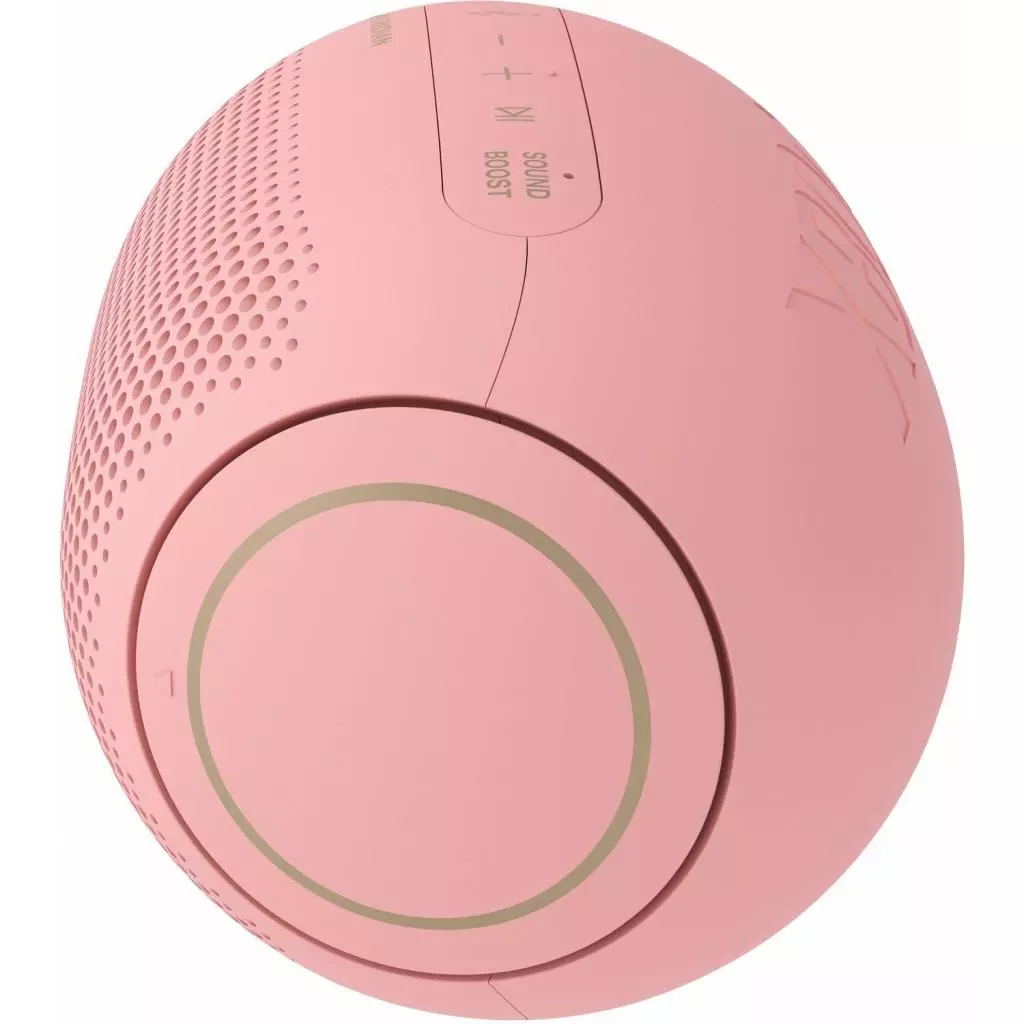 Акустическая система LG XBOOMGo PL2P Pink (PL2P.DCISLLK) - 7 Акустическая система LG XBOOMGo PL2P Pink (PL2P.DCISLLK) - 7