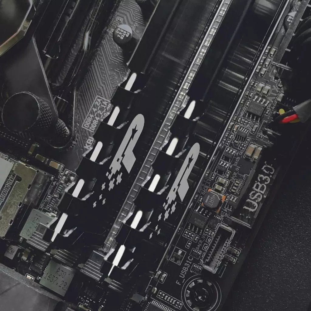 Модуль памяти для компьютера DDR4 8GB 3200 MHz Signature Line Premium Patriot (PSP48G320081H1) - 2 Модуль памяти для компьютера DDR4 8GB 3200 MHz Signature Line Premium Patriot (PSP48G320081H1) - 2