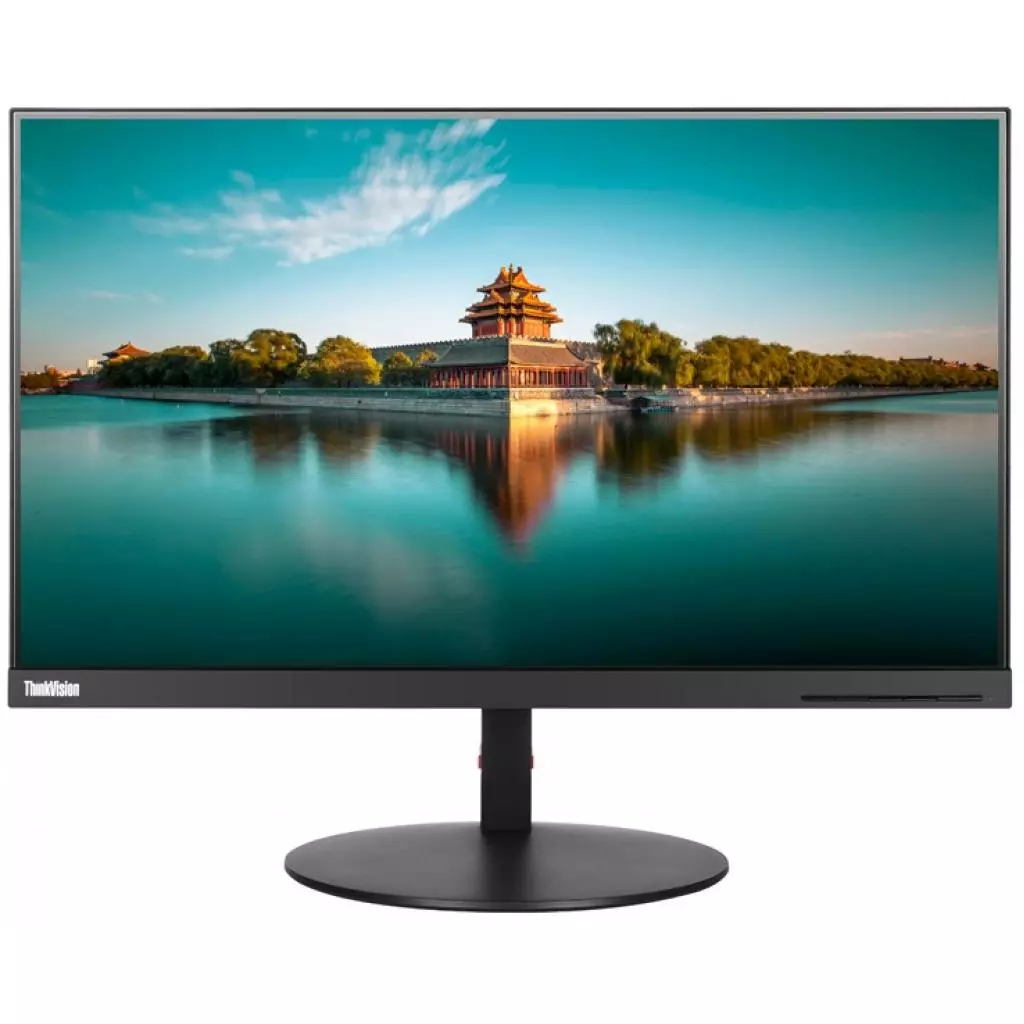 Монитор Lenovo ThinkVision T24i-19 (61D6MAT2UA)