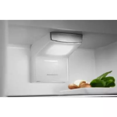 Холодильник Electrolux RNS6TE19S - 1 Холодильник Electrolux RNS6TE19S - 1
