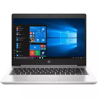 Ноутбук HP ProBook 445 G7 (7RX17AV_V13)