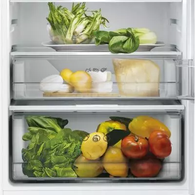 Холодильник Candy BCBF192F - 4 Холодильник Candy BCBF192F - 4