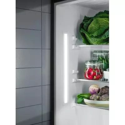 Холодильник Electrolux RNS8FF19S - 1 Холодильник Electrolux RNS8FF19S - 1