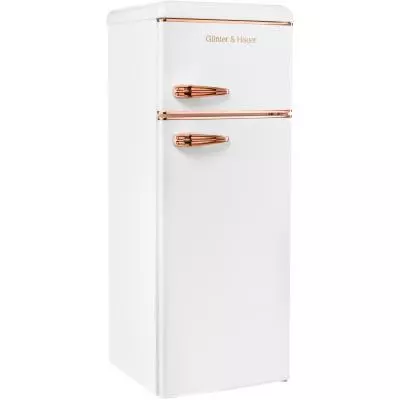 Холодильник Gunter&Hauer FN275CB - 1 Холодильник Gunter&Hauer FN275CB - 1