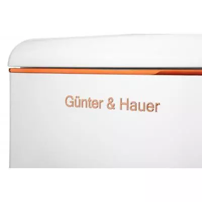 Холодильник Gunter&Hauer FN275CB - 6 Холодильник Gunter&Hauer FN275CB - 6