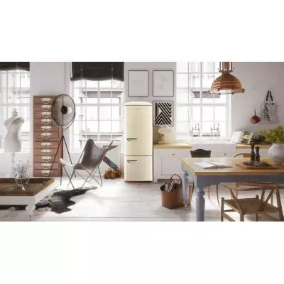 Холодильник Gorenje ONRK193C - 1