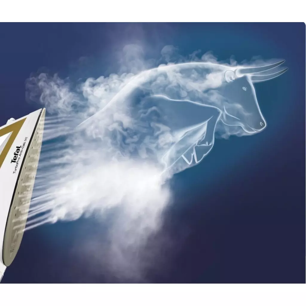 Утюг Tefal FV5698E0 - 3