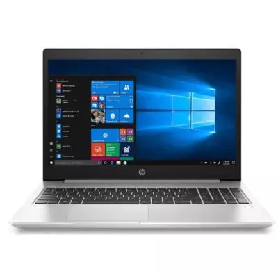 Ноутбук HP Probook 450 G7 (9HP70EA)