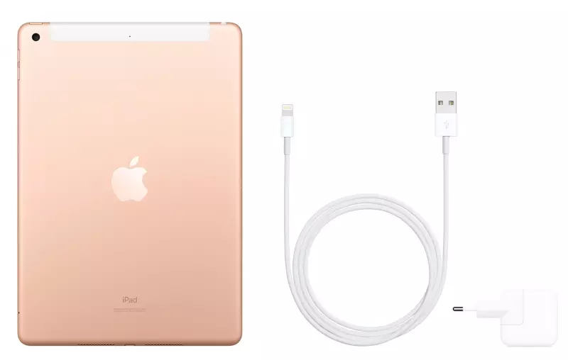 Apple iPad 10.2" 2019 Wi-Fi + 4G 32GB Gold (MW6D2) - 5