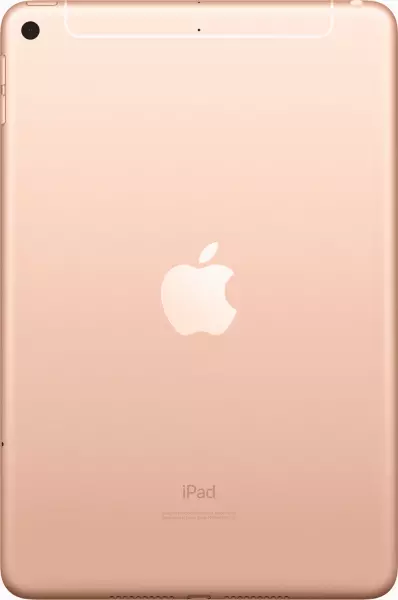 Apple iPad mini 2019 64GB Wi-Fi Gold (MUQY2) - 2