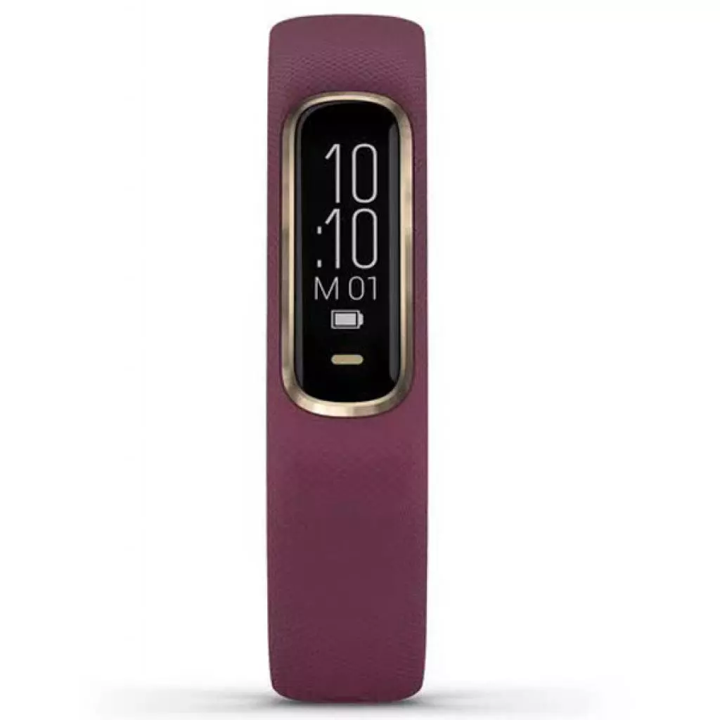 Фитнес браслет Garmin vivosmart 4, Merlot/Rose Gold, S/M (010-01995-21) - 1 Фитнес браслет Garmin vivosmart 4, Merlot/Rose Gold, S/M (010-01995-21) - 1