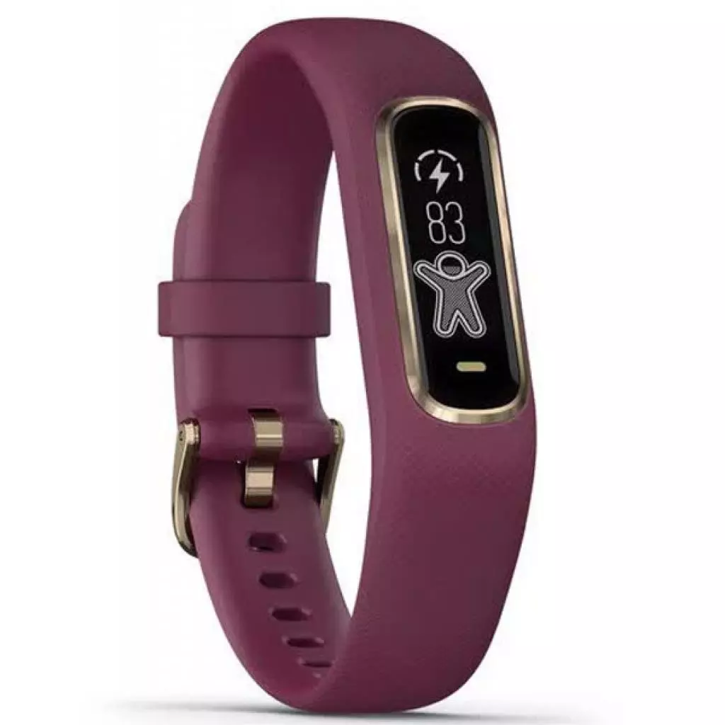 Фитнес браслет Garmin vivosmart 4, Merlot/Rose Gold, S/M (010-01995-21) - 2 Фитнес браслет Garmin vivosmart 4, Merlot/Rose Gold, S/M (010-01995-21) - 2