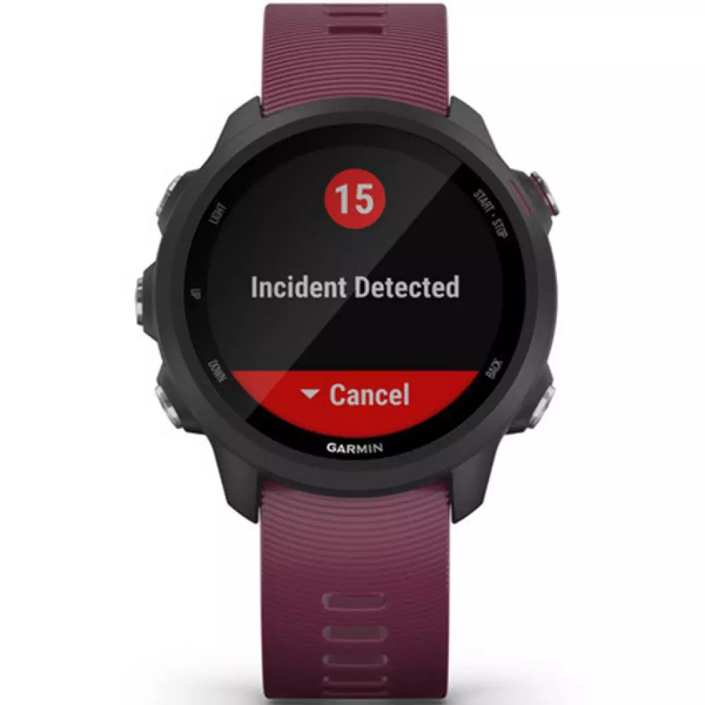 Смарт-часы Garmin Forerunner 245, Black/Berry (010-02120-11) - 8