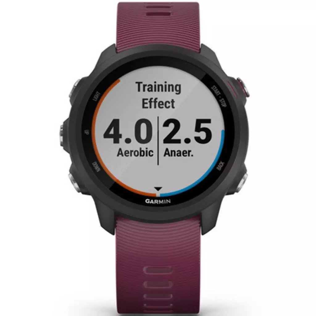 Смарт-часы Garmin Forerunner 245, Black/Berry (010-02120-11) - 9