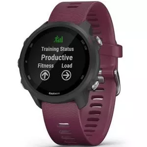 Смарт-часы Garmin Forerunner 245, Black/Berry (010-02120-11)