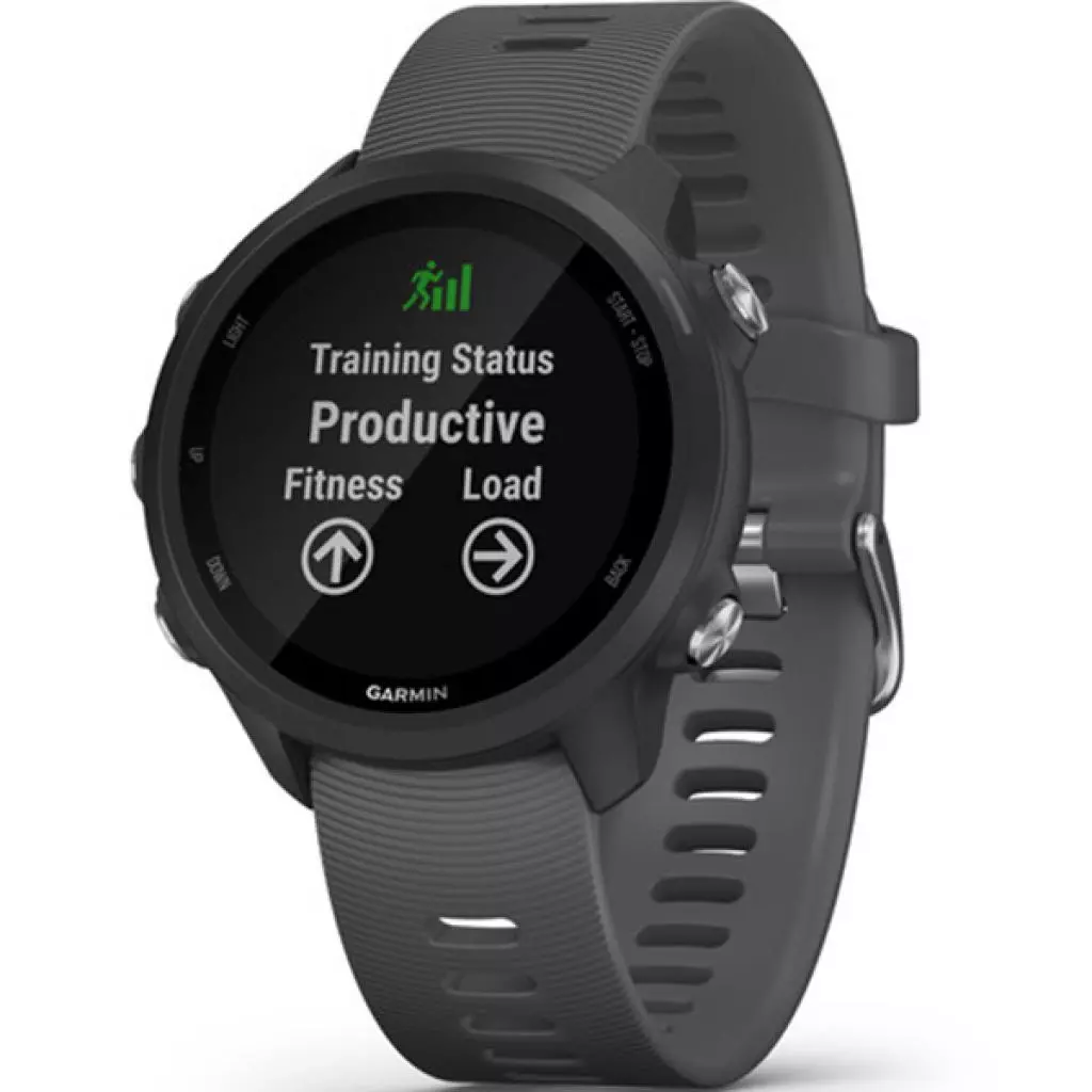 Смарт-часы Garmin Forerunner 245, Black/Slate (010-02120-10)