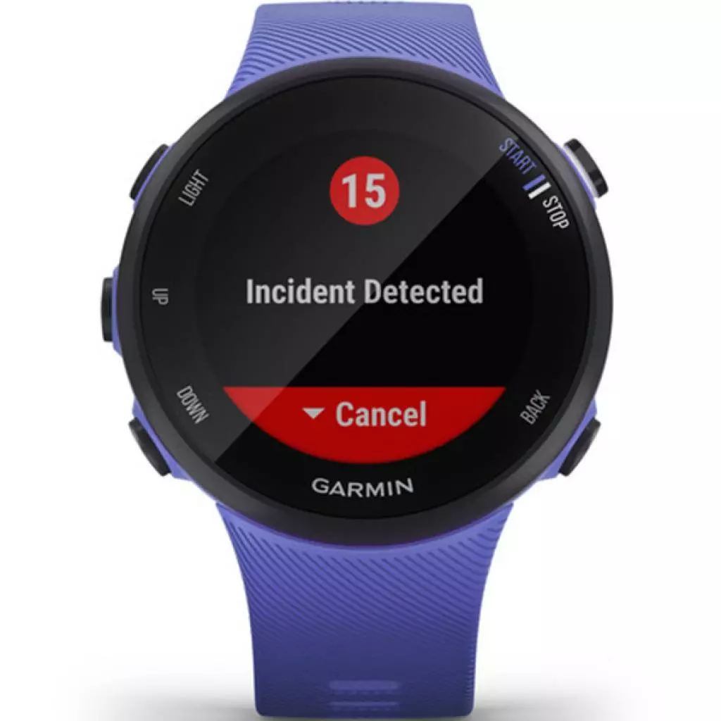 Смарт-часы Garmin Forerunner 45, Small, Iris (010-02156-11) - 8 Смарт-часы Garmin Forerunner 45, Small, Iris (010-02156-11) - 8