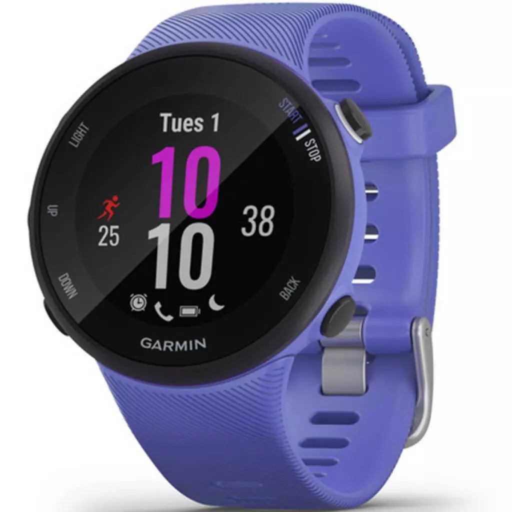 Смарт-часы Garmin Forerunner 45, Small, Iris (010-02156-11)