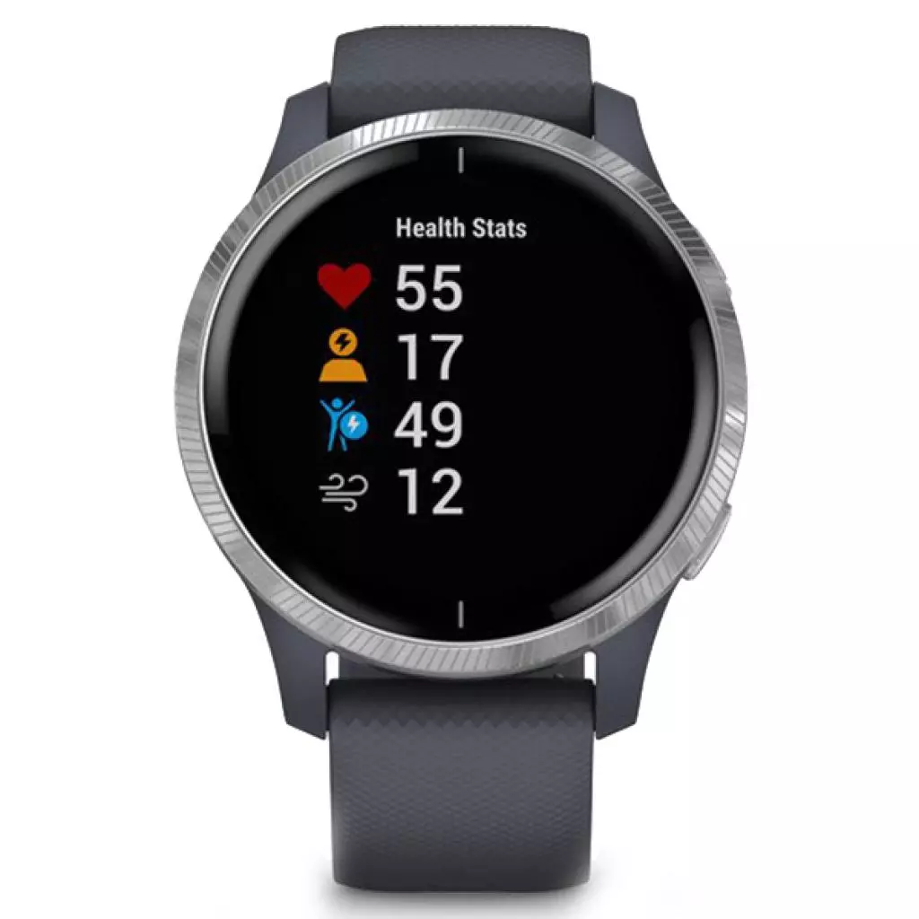 Смарт-часы Garmin Venu, Blue Granite/Silver (010-02173-03) - 1 Смарт-часы Garmin Venu, Blue Granite/Silver (010-02173-03) - 1