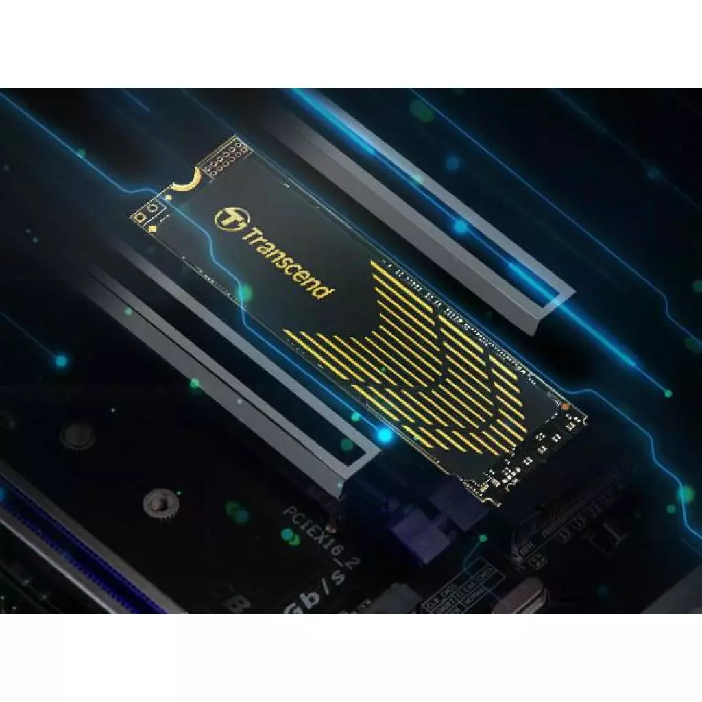 Накопитель SSD M.2 2280 1TB Transcend (TS1TMTE240S) - 3 Накопитель SSD M.2 2280 1TB Transcend (TS1TMTE240S) - 3