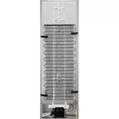 Холодильник Electrolux RRT5MF38W1 - 2 Холодильник Electrolux RRT5MF38W1 - 2